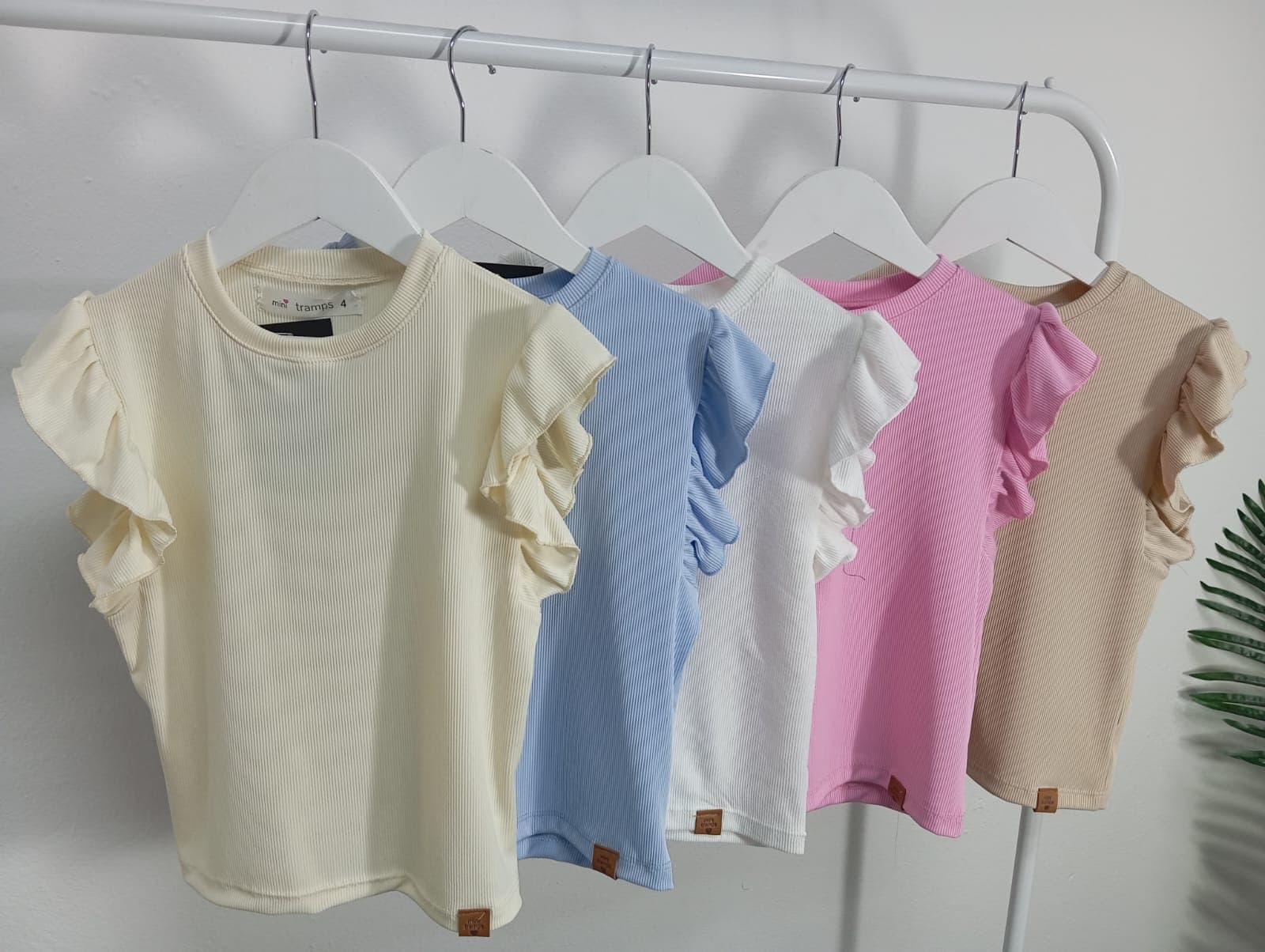 Remera Gokú