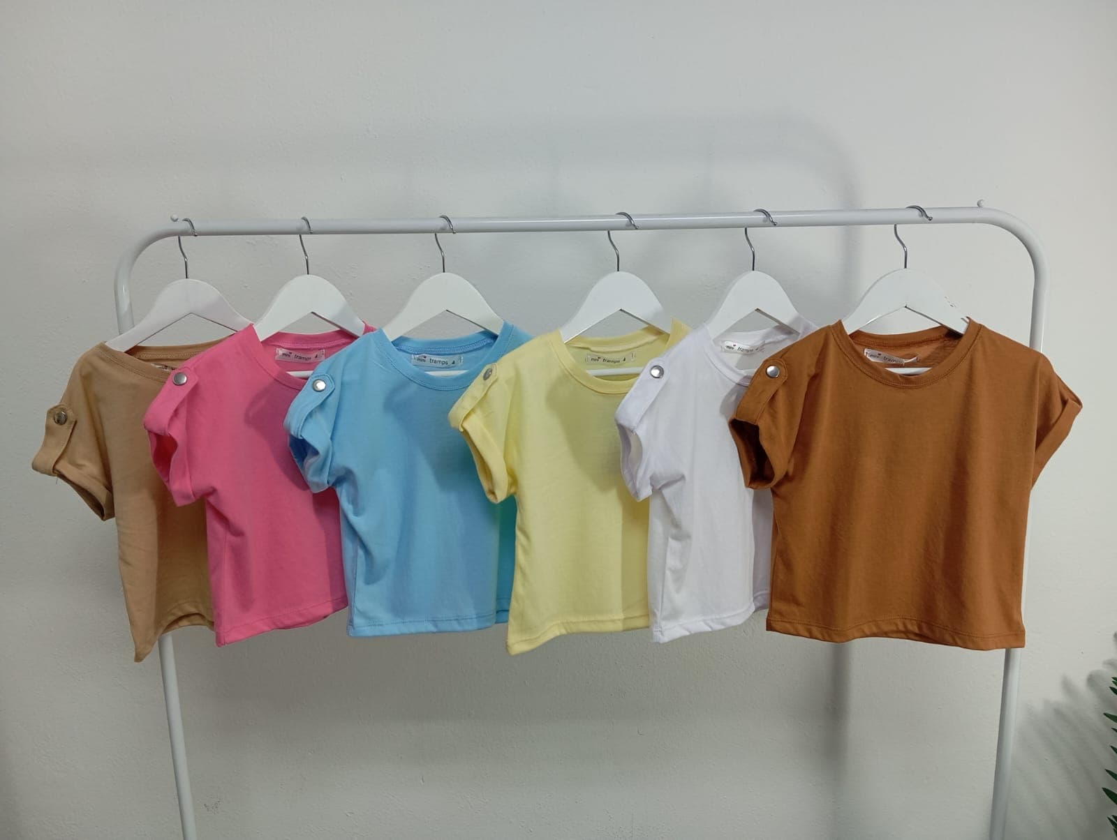 Remera Amity
