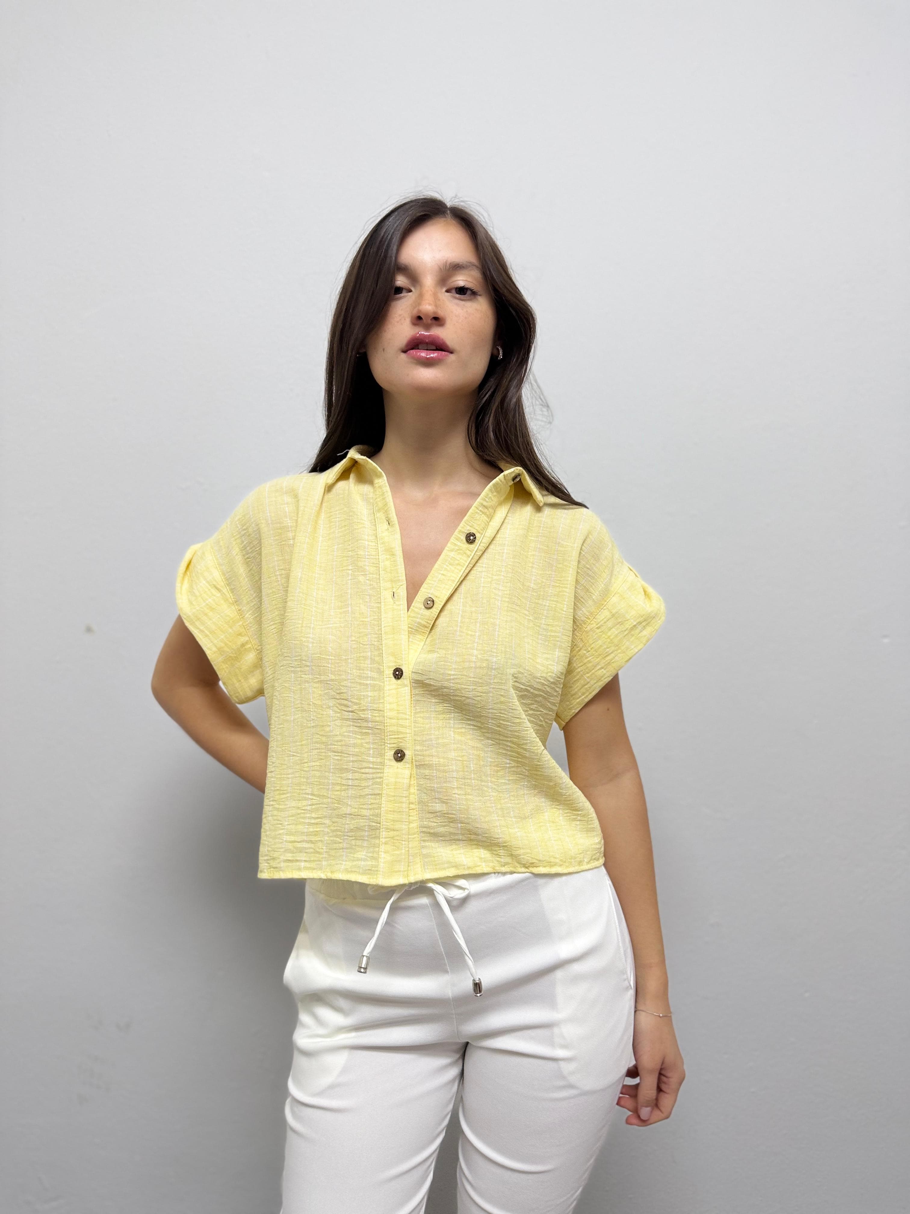 Camisa Roger