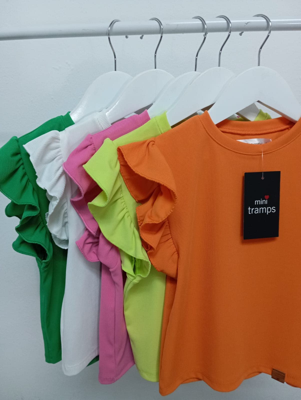 Remera Gokú