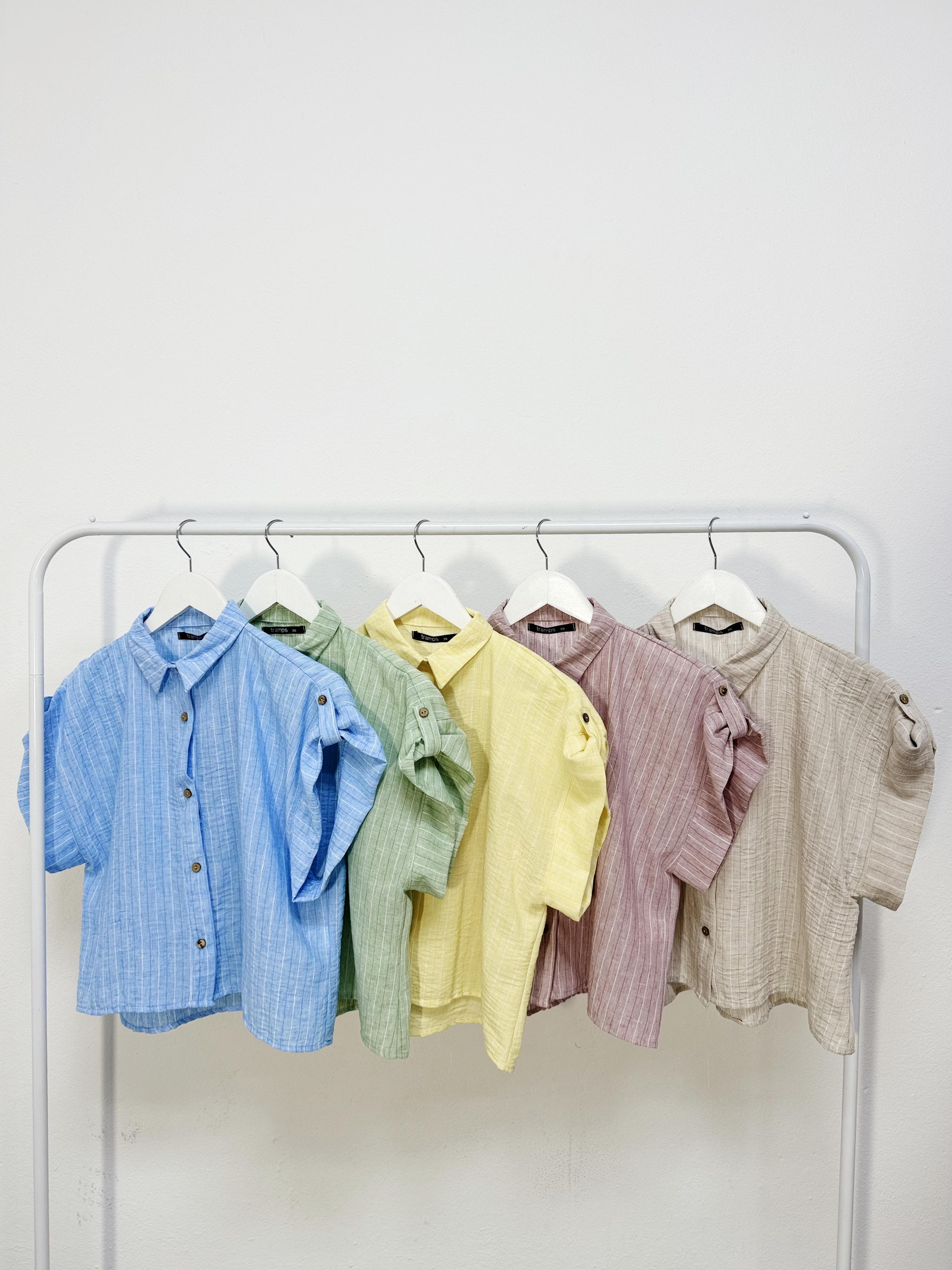Camisa Roger